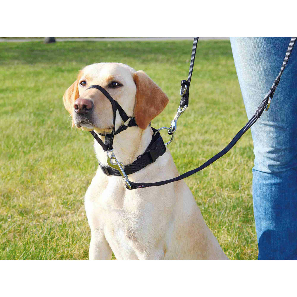 Guide harness for dog Trixie Top Trainer Black M-2