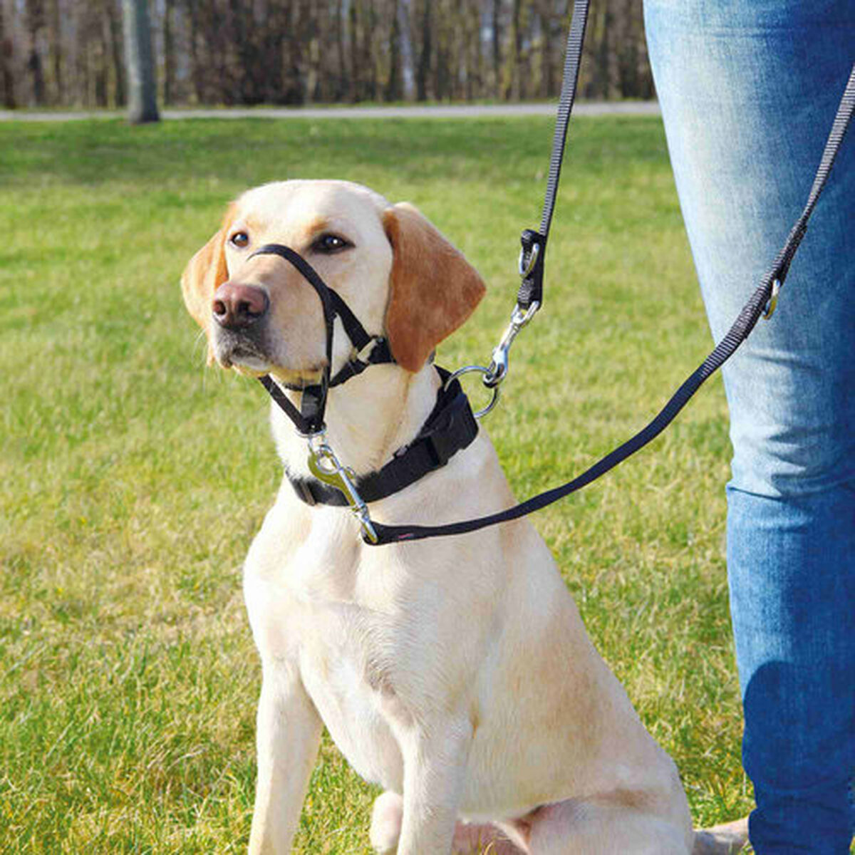 Guide harness for dog Trixie Top Trainer Black M-1