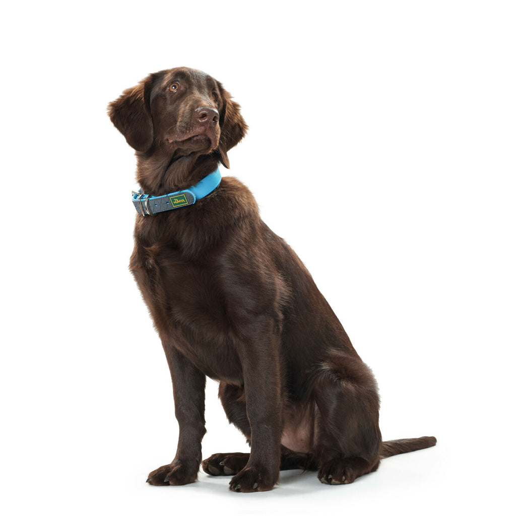 Dog collar Hunter Convenience 53-61 cm L/XL Turquoise-2